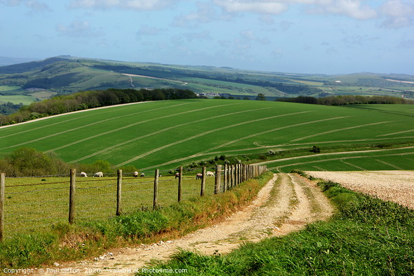 South downs view Picture Board by Paul Clifton