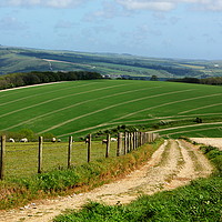 Buy canvas prints of South downs view by Paul Clifton