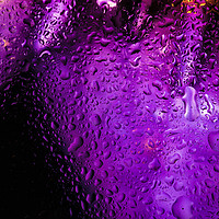 Buy canvas prints of Purple drops by Mariya Obidina