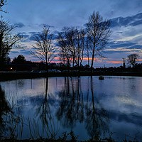 Buy canvas prints of A Ponder at the Pond by Shoot Creek