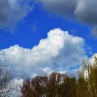 Buy canvas prints of Sky cloud by liviu iordache