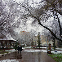 Buy canvas prints of Winter in the park of Calarasi by liviu iordache