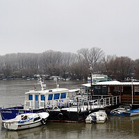 Buy canvas prints of Boats anchored in winter on the Borcea arm  by liviu iordache