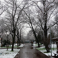 Buy canvas prints of Winter in the city park  by liviu iordache