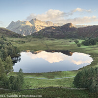 Buy canvas prints of Above the Tarn by Si Betteridge