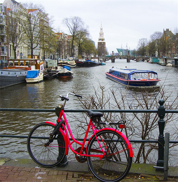 Amsterdam - red bike  Framed Mounted Print by David Turnbull