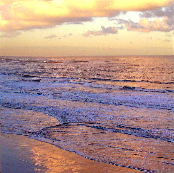 Coast - Longsands lone surfer  Framed Print by David Turnbull