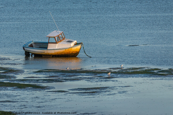 Moored boat illuminated by the rays of the setting sun on the shoal during low tide Picture Board by Q77 photo