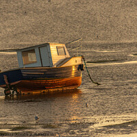 Buy canvas prints of Moored boat illuminated by the rays of the setting sun on the shoal during low tide by Q77 photo