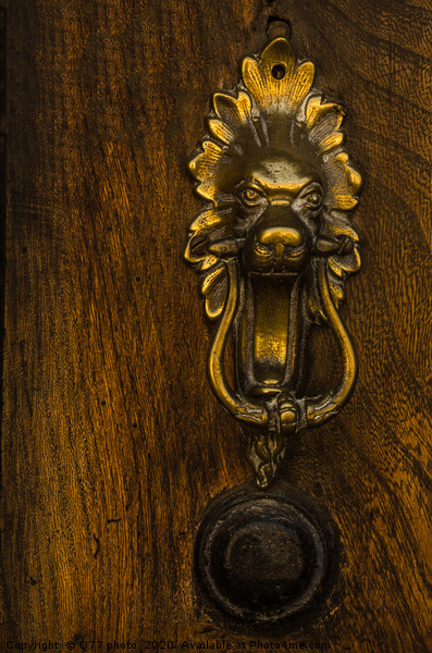 Door with brass knocker in the shape of a lion's h Picture Board by Q77 photo