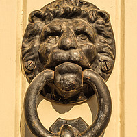 Buy canvas prints of Door with brass knocker in the shape of a lion's h by Q77 photo