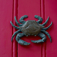 Buy canvas prints of Brass crab knocker, knocker on red wooden door, de by Q77 photo