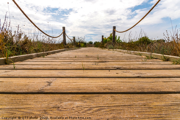wooden boardwalk in the dunes leading to the sandy Picture Board by Q77 photo