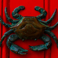 Buy canvas prints of Brass crab knocker, knocker on red wooden door, de by Q77 photo