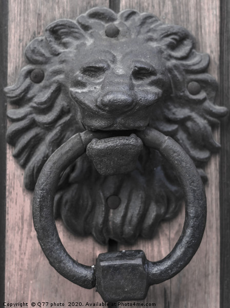 Door with brass knocker in the shape of a lion's h Picture Board by Q77 photo