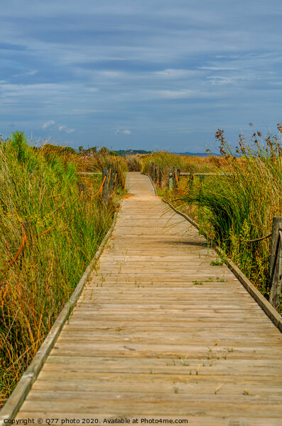 wooden boardwalk in the dunes leading to the sandy beach, the path by the sea, plants on the dunes Picture Board by Q77 photo