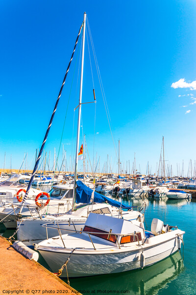 Beautiful luxury yachts and motor boats anchored in the harbor, hot summer day and blue water in the marina, blue sky Picture Board by Q77 photo