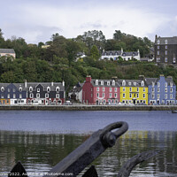Buy canvas prints of Tobermory by Bill Moores