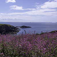 Buy canvas prints of Caerfai Bay looking over St Brides Bay by Bill Moores