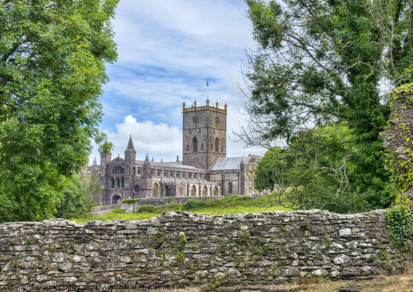 St David's Cathedral Picture Board by Rick Lindley