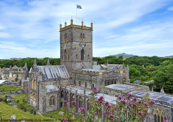 St David's Pembrokeshire Picture Board by Rick Lindley