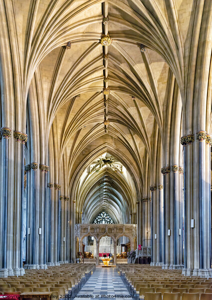 Bristol Cathedral  Picture Board by Rick Lindley