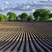 Buy canvas prints of Plough Lines by Rick Lindley