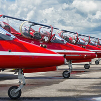 Buy canvas prints of The Reds Nose Day  by Rick Lindley