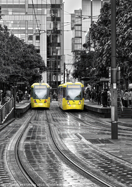 Manchester Trams In The Rain Picture Board by Rick Lindley