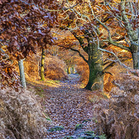 Buy canvas prints of Autumn in Conwy by Rick Lindley