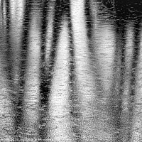 Buy canvas prints of Reflection by Rick Lindley