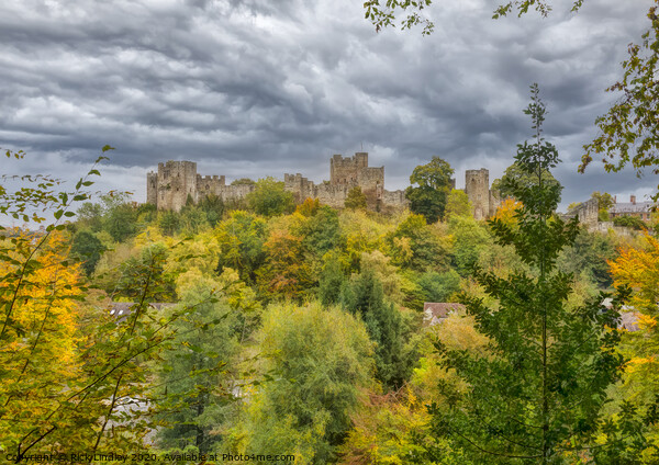 Ludlow Castle Picture Board by Rick Lindley