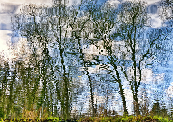 Trees Water Reflection Picture Board by Rick Lindley