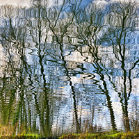 Buy canvas prints of Trees Water Reflection by Rick Lindley