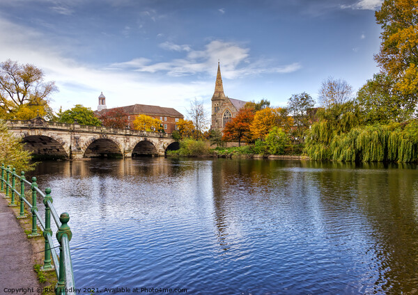 The English Bridge Shrewsbury  Picture Board by Rick Lindley