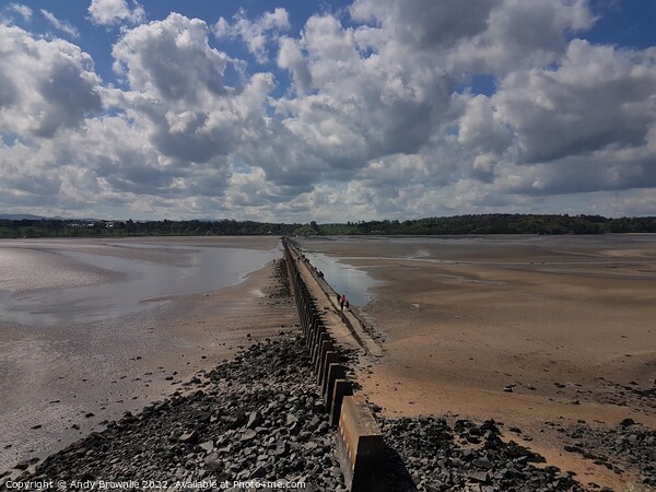 A view from Cramond Island Picture Board by Andy Brownlie