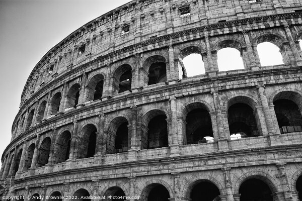 Colosseum Rome Picture Board by Andy Brownlie