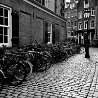Buy canvas prints of Amsterdam Bikes by Andy Brownlie