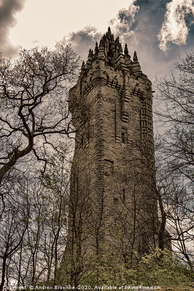 Wallace Monument, Stirling Picture Board by Andy Brownlie