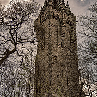 Buy canvas prints of Wallace Monument, Stirling by Andy Brownlie