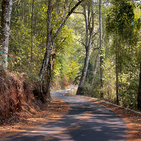 Buy canvas prints of Winding forest road Chiang Mai Thailand by Rowan Edmonds