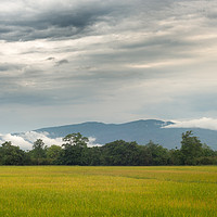 Buy canvas prints of Morning Mountain Clouds Chiang Mai Thailand by Rowan Edmonds