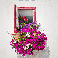 Buy canvas prints of Beautiful open wooden window, pink, white and viol by Josef Kubes