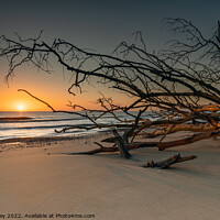 Buy canvas prints of Sunrise on Benacre Beach Suffolk by David Powley