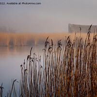Buy canvas prints of Clearing Mist Over Horsey Mere by David Powley