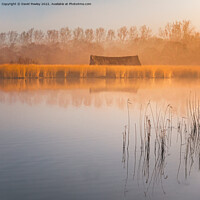 Buy canvas prints of Morning Light Over Horsey Mere by David Powley