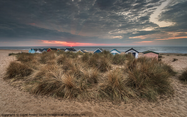 Beach Hut Sunrise on Southwold Beach Framed Mounted Print by David Powley