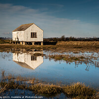 Buy canvas prints of Reflections at Lion Creek Essex by David Powley