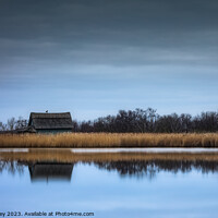 Buy canvas prints of Golden Tranquility at Horsey Mere by David Powley