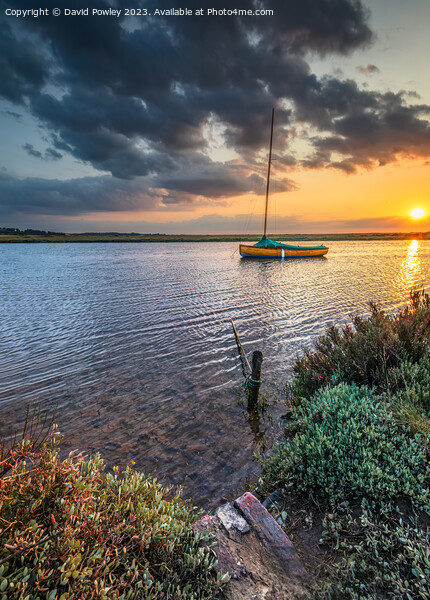Golden Evening at Blakeney Harbour Picture Board by David Powley